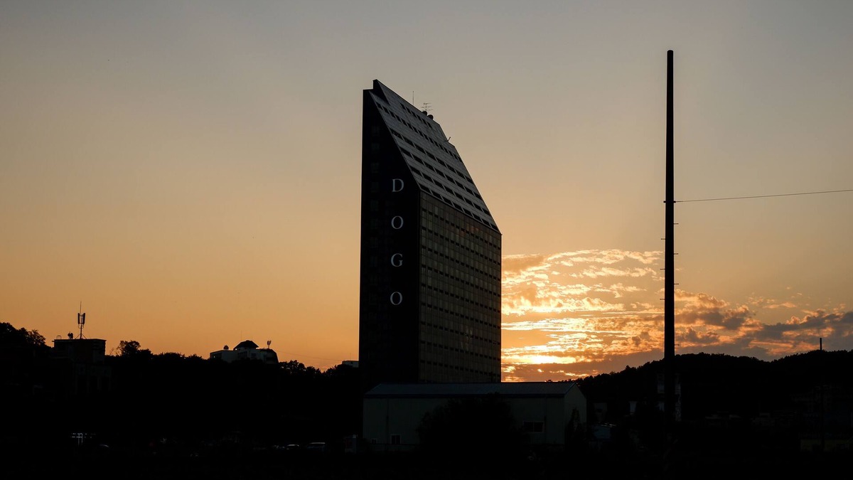 Asan Condo | The Witt DOGO