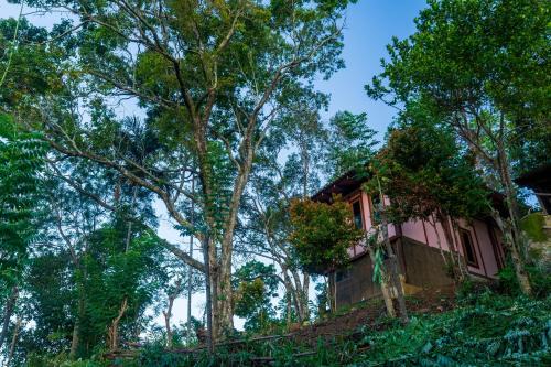 Beragala House | The Woods - Birding, Farming & Eco Living