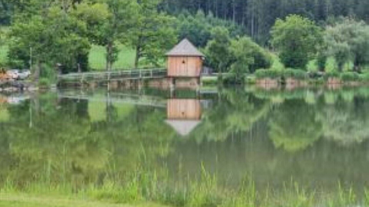 Sankt Veit an der Glan Apartment | The1st Guesthouse "Apartment Lakehouse Style" with terrace and lake view