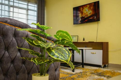 Nyahururu Apartment | Thee escape
