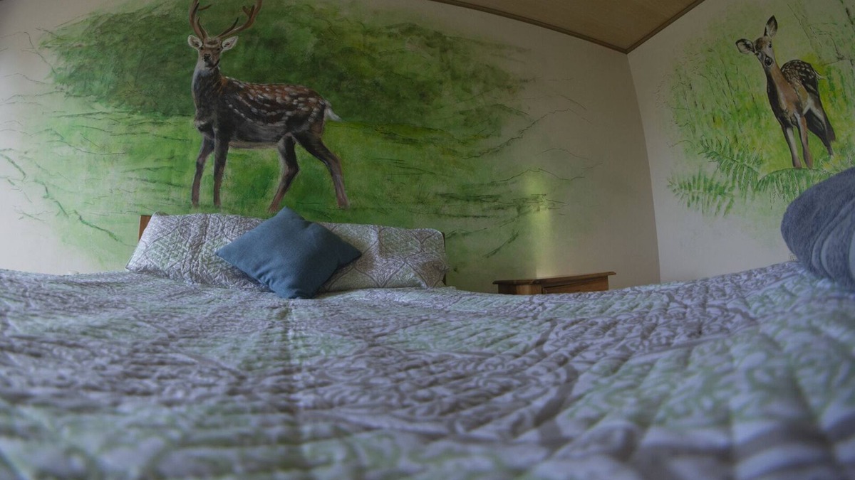 La Tigra House | Thematic Forest suite| into the authentic rainforest close to the ARENAL VOLCANO