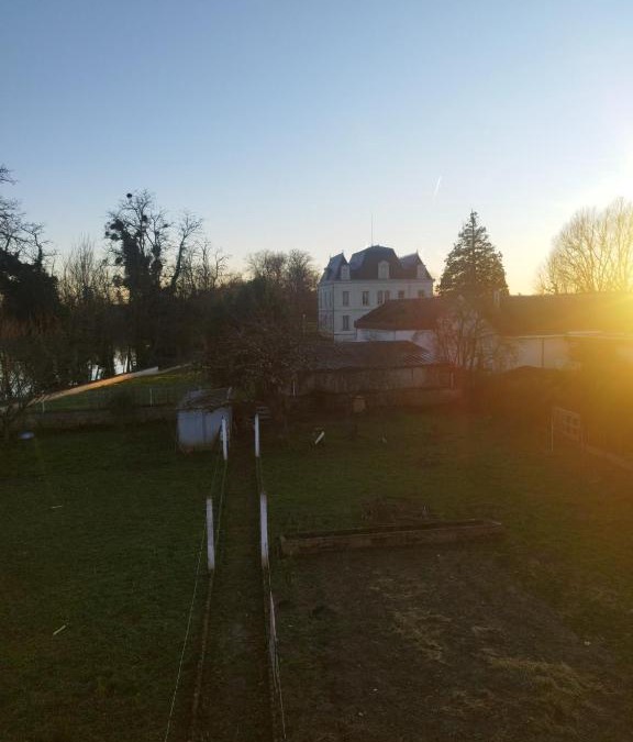 Cenon-sur-Vienne Apartment | Theviennehouse