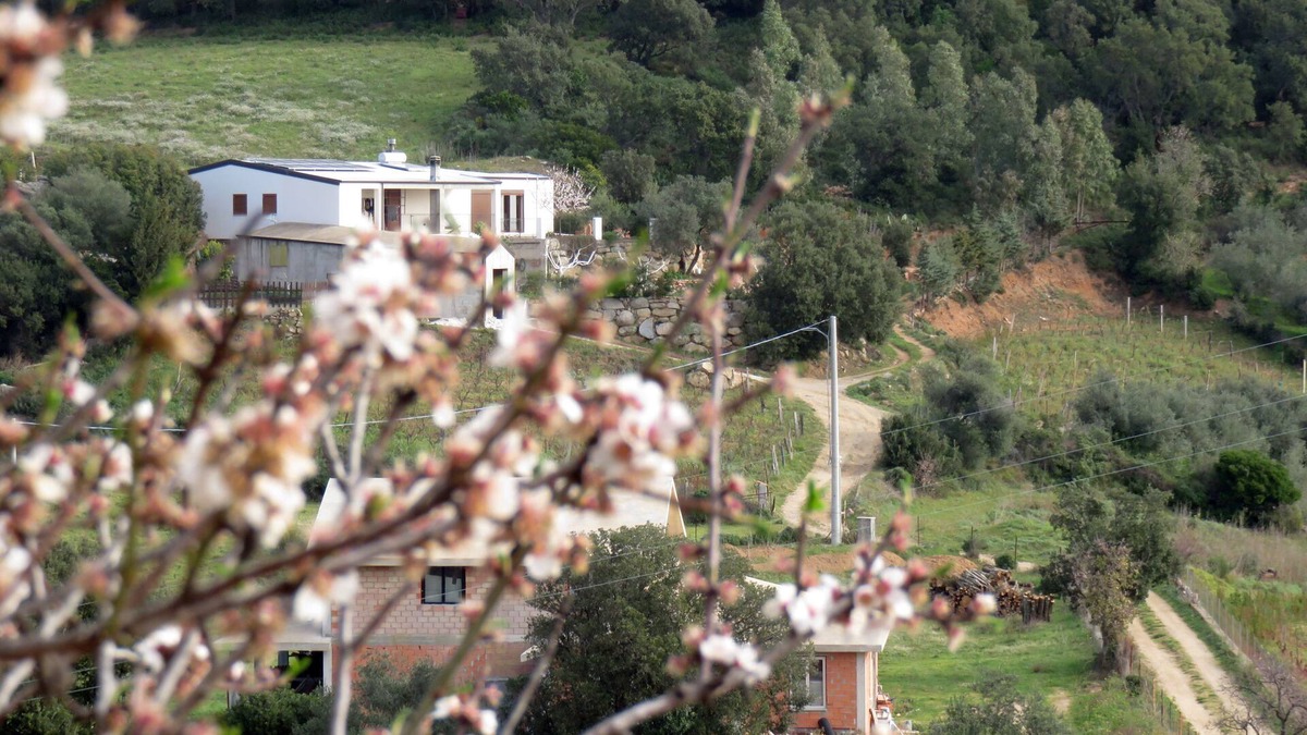 Lanusei House | This Cozy House is Surrounded by Natural Beauties. WiFi and ADSL.