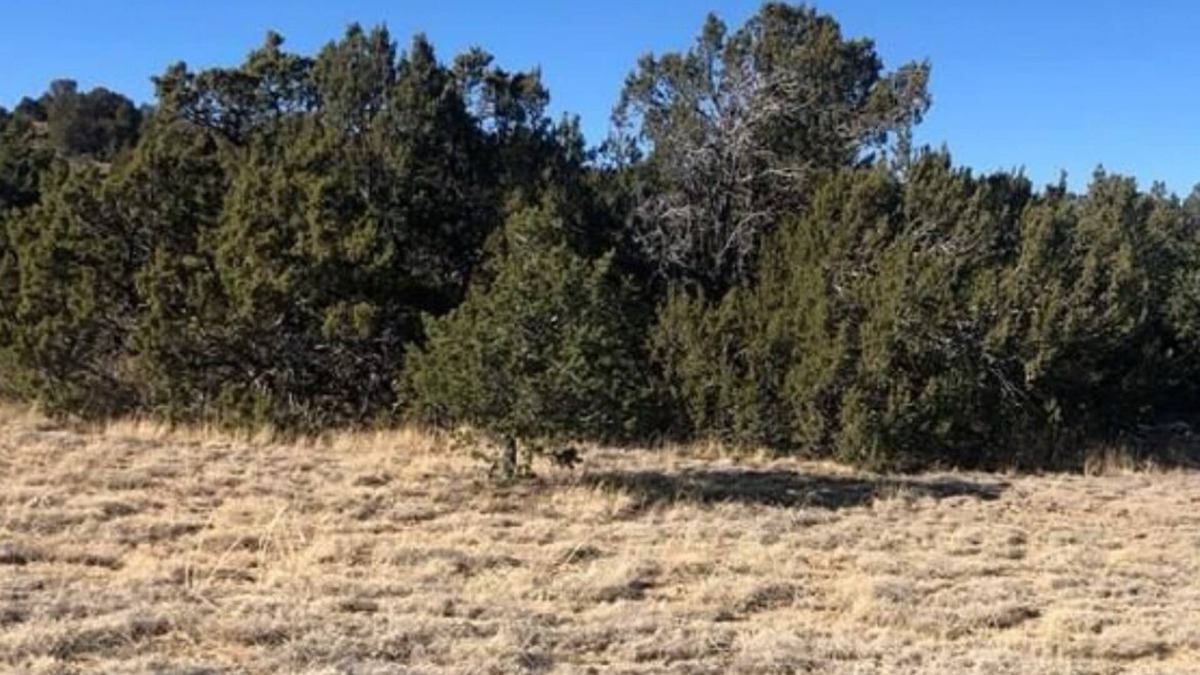 Walsenburg RV Rental | This property is no longer available for use.