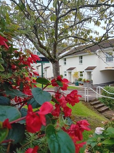 Sidmouth House | Three miles from the sea