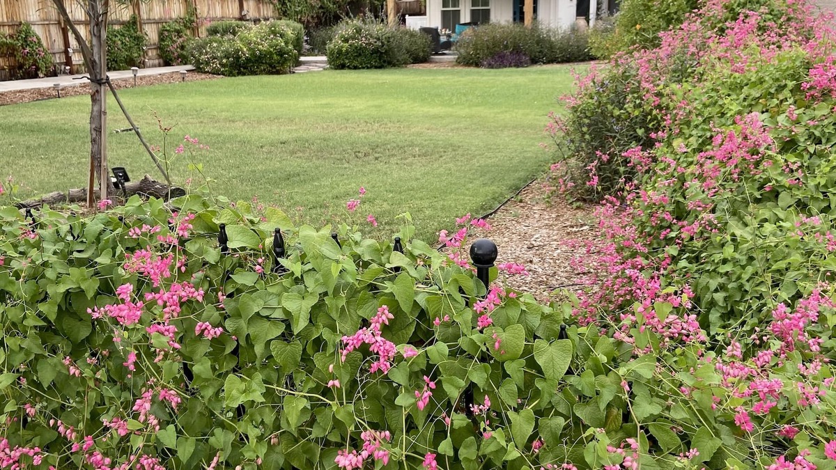 Gilbert House | Three minute walk to Downtown Gilbert from the Not So Tiny Cottage!