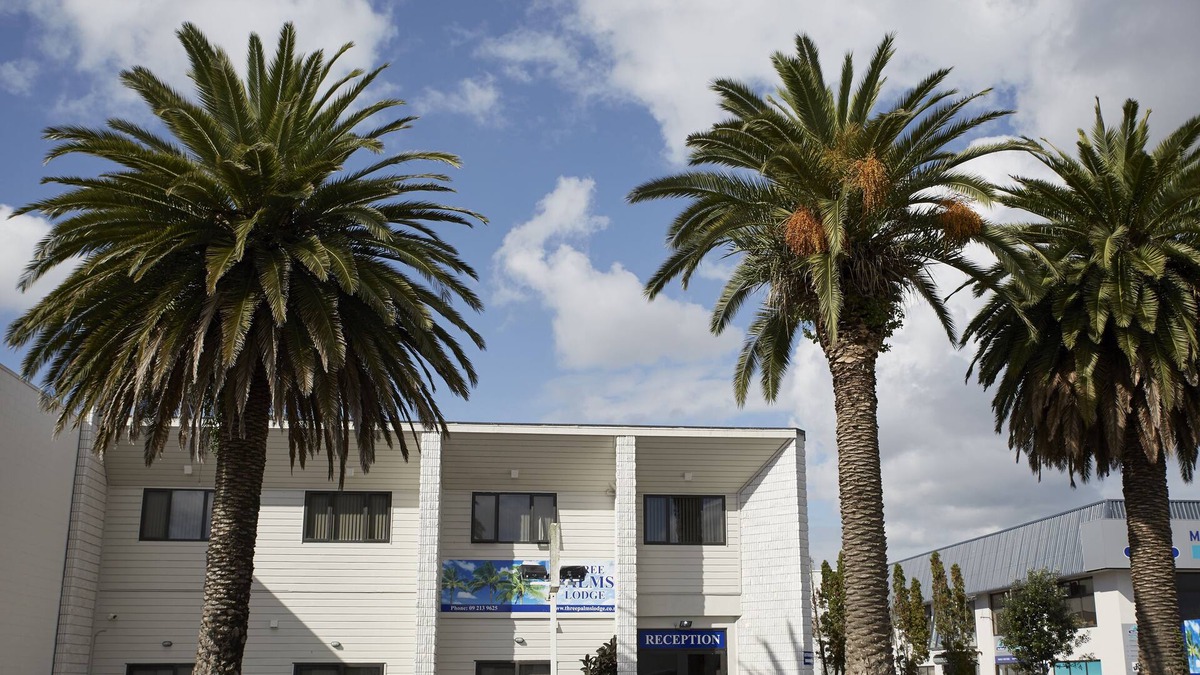 Papatoetoe Hotel | Three Palms Lodge