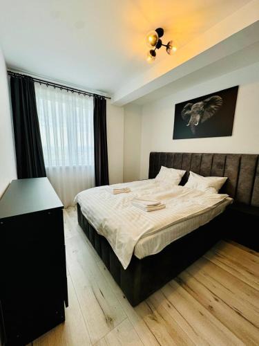 Sebes Apartment | Thyon Apartments