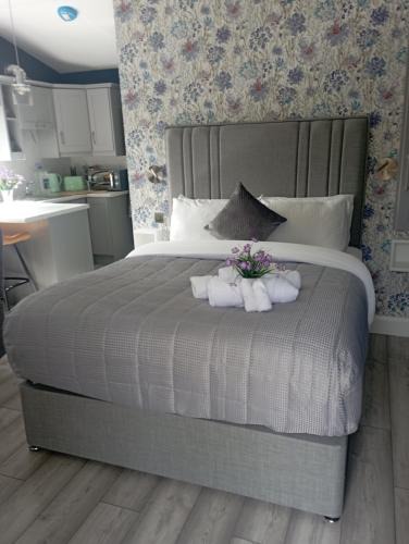 Kilkelly Apartment | Tiernan's studio apartment
