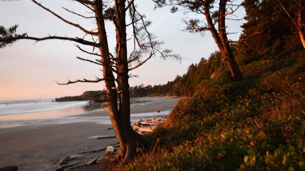 Newport Ski Chalet | Tiki of the Pines Private Ocean Access A-Frame