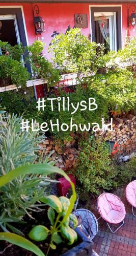 Le Hohwald House | Tilly's B&B and apartment house