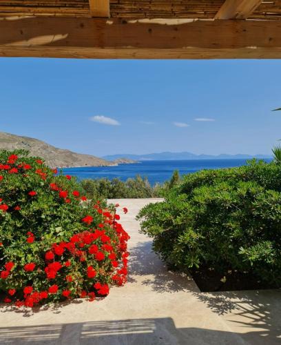 Tilos Apartment | Tilos Villa