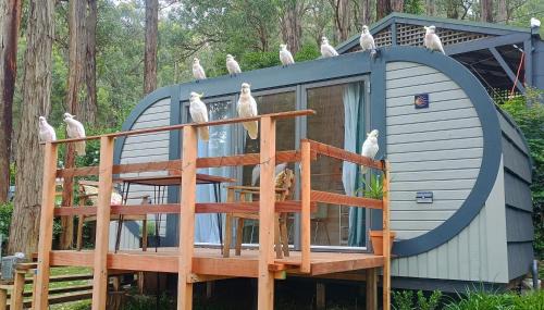 Selby House | Timber Cabin in Selby near Puffing Billy
