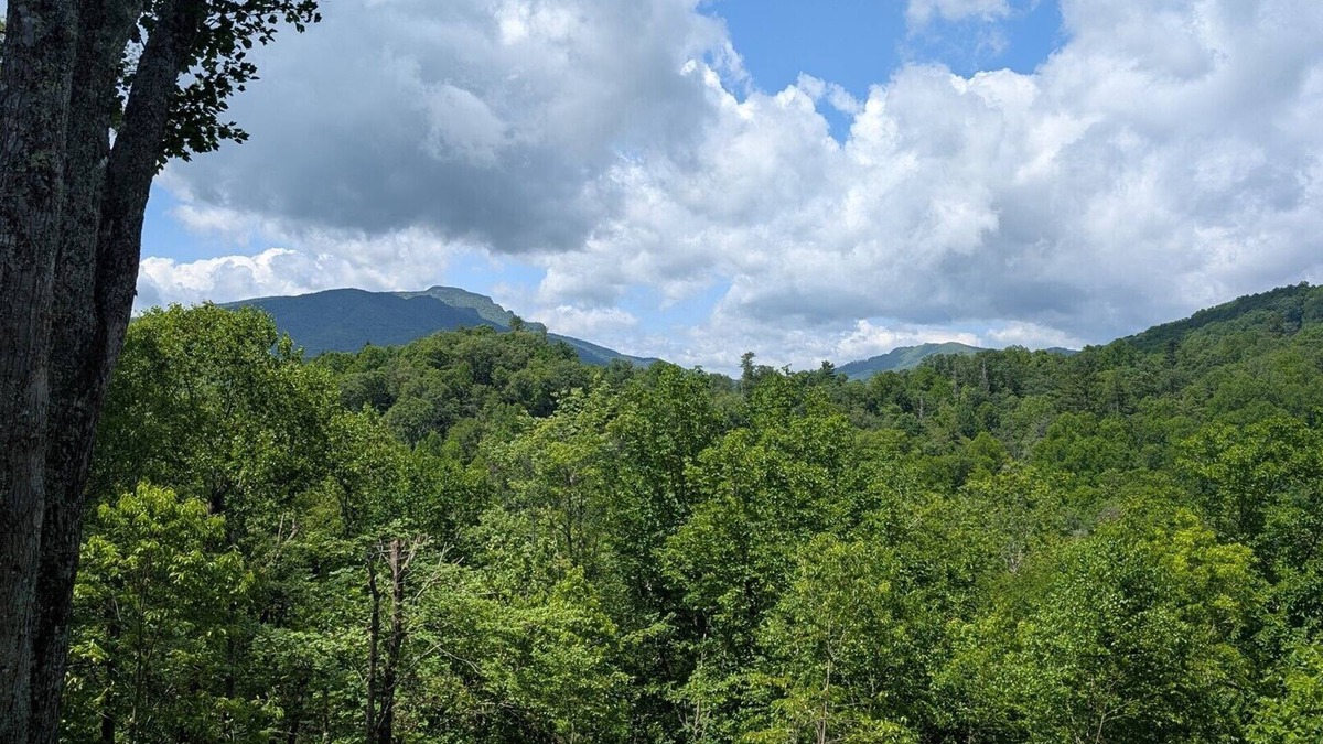 Foscoe Condo | Timbers F- 2: Mountain Condo, Echota Gated Resort, Indoor/Outdoor Pools and Hot Tub, Fitness Area.