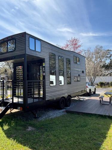 Florida Panhandle Other | Timberwolf in the Park