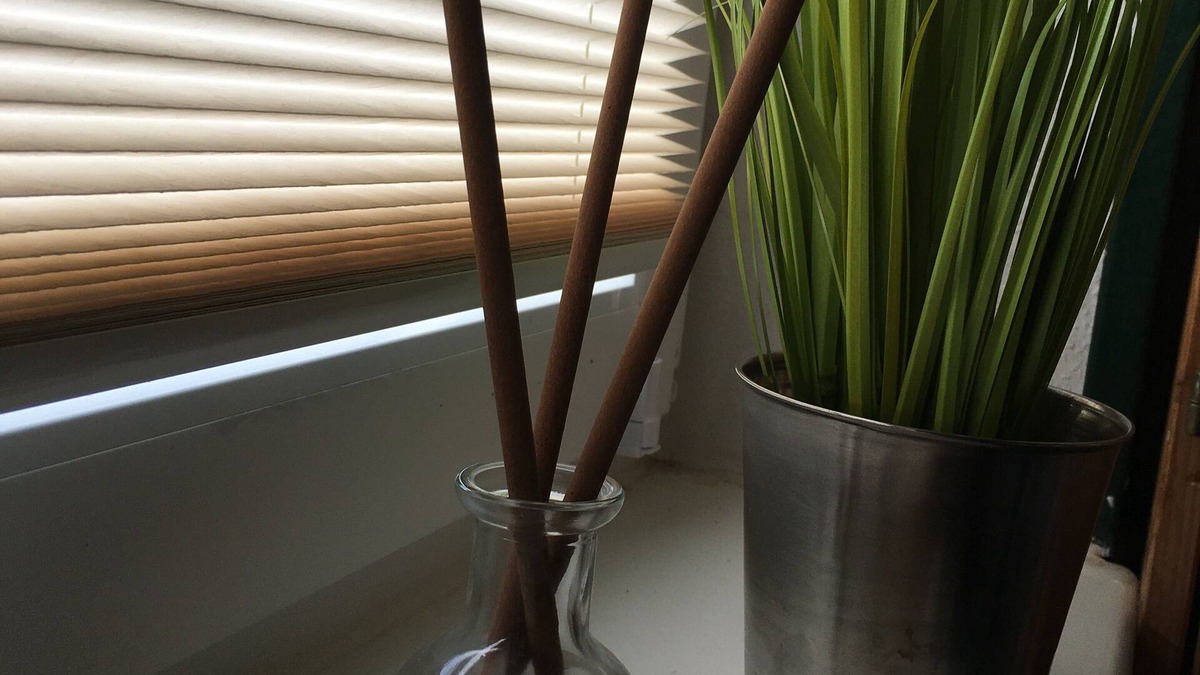 Ebstorf Apartment | Time for two on the vineyard - cozy vacation apartment!