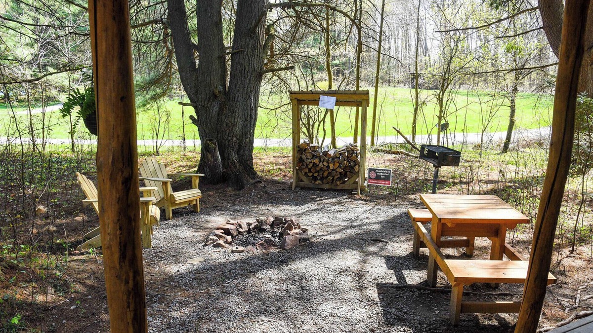 Leeper Cabin | Tiny Bear Log Cabin near Cook Forest State Park