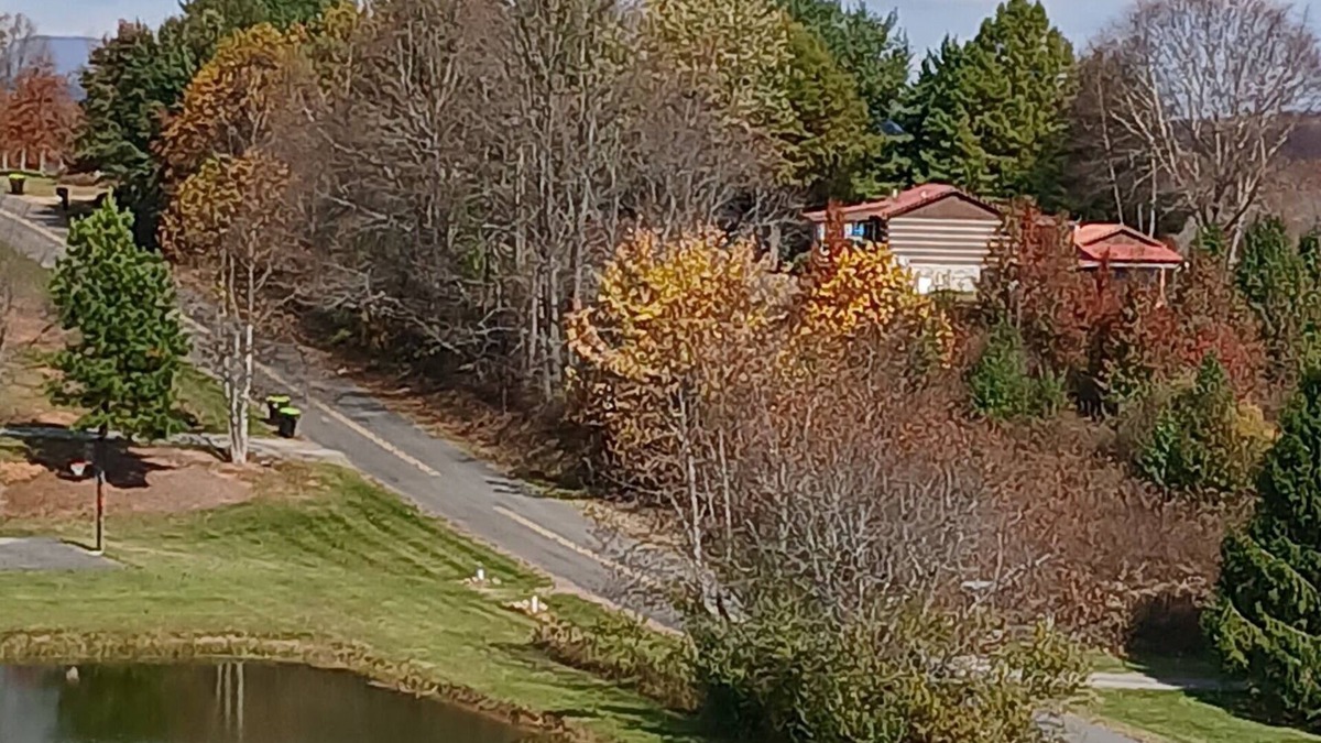 Fancy Gap Cabin | Tiny cabin with access to pond,hot freshwaterAC right off the Blue ridgeparkway