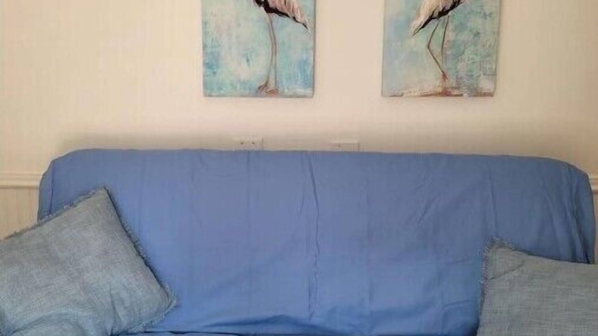 Birdsnest Apartment | Tiny Guest House