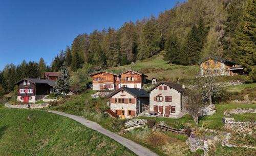 Monteiller Ski Chalet | Tiny House facing the Alps - Ski in, Ski out