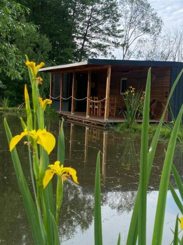 Klatovy House | Tiny house Františka
