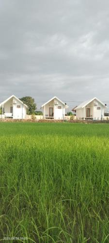 Chae Hom House | Tiny house homestay & cafe T2