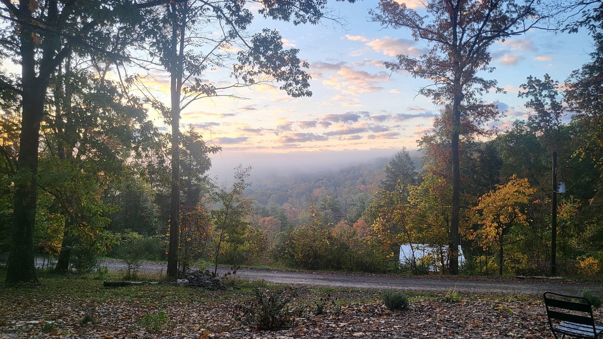 Clearfield Cottage | Tiny Slice of Paradise!