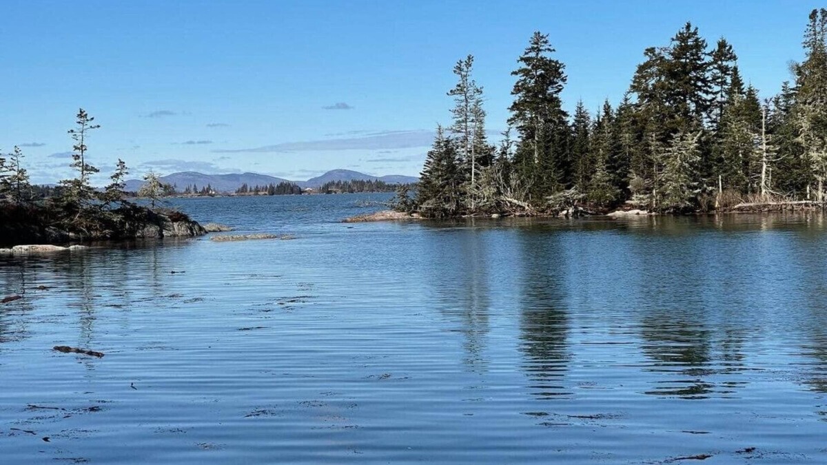 Vinalhaven House | Tip Toe Cottage overlooking Crockett's Cove