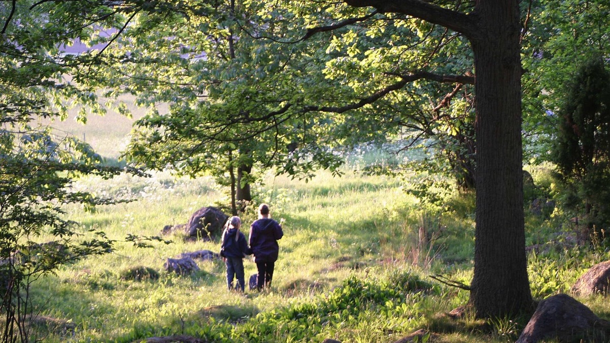 Karlshamn Municipality Bed & Breakfast | Tjärö