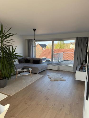 Boom Apartment | TML 500m Luxurieus Penthouse 2 balconys