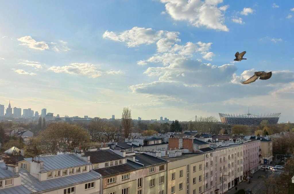 Saska Kepa Apartment | To był maj
