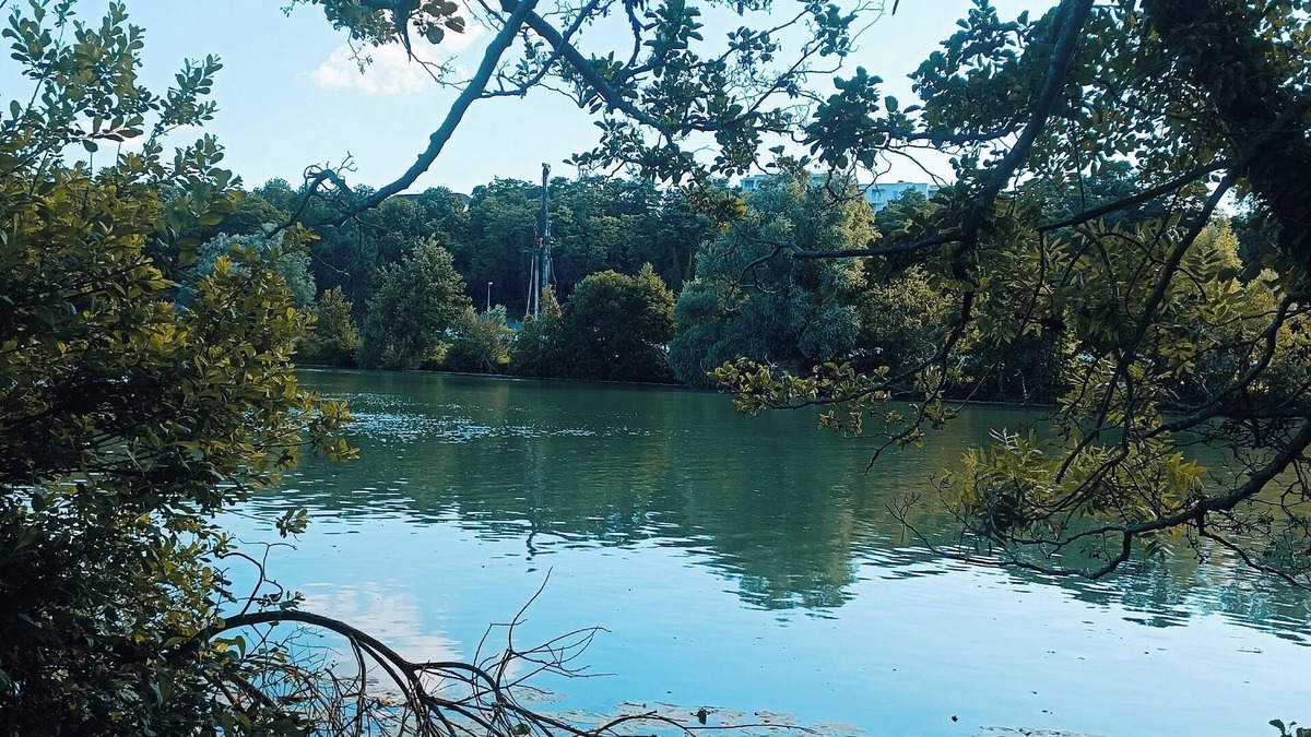 Isles-les-Villenoy House | To Disney 12 mn' drive or Olympics @ Vaires 25 mns