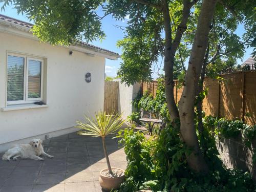 Skerries House | To The Beach!