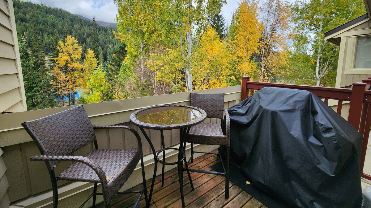 East Kootenay Apartment | Toby Creek Loft, lower village, close to Village gondola and Toby chairlift