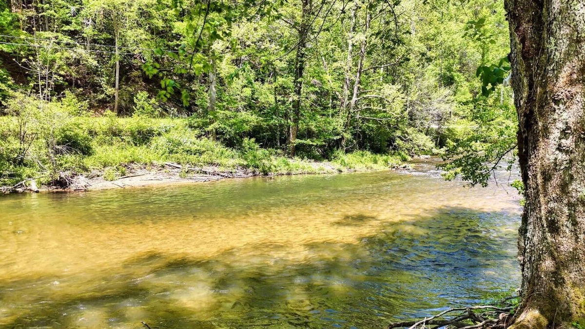 Suches Cabin | Toccoa River Cabin - Peaceful, Private Fishing Retreat on the Toccoa River!