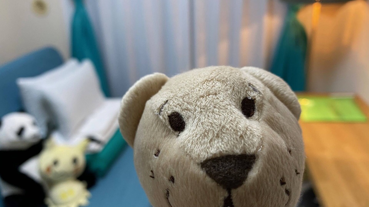 Setagaya Apartment | Today's Relaxing and Fun Studio! Near Olympic Park!