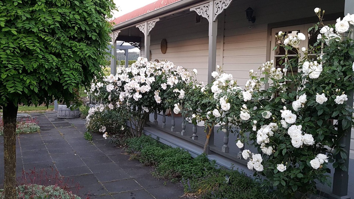 Martinborough House | Todd's Cottage and Vineyard in the "fun part" of town.