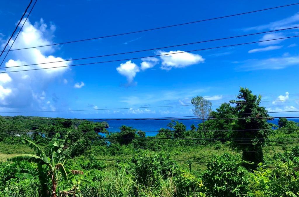 Port Antonio Bed & Breakfast | TOGA GUEST HOUSE
