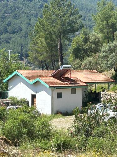 Ortaca Ski Chalet | Togo iztuzu Stonehouse-1