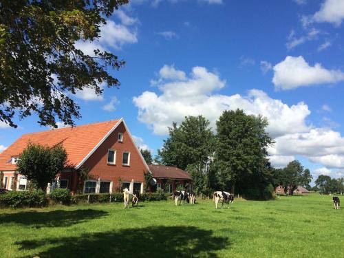Backemoor House | Tolles Ferienhaus für 18 Personen in Ostfriesland mit Kino, Bar, Sauna und Whirlpool