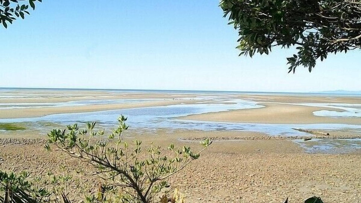 Pakawau Cottage | Tomatea Rua - Golden Bay Bach (Pakawau Beach)