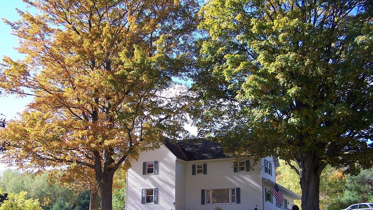 Lake Leelanau Other | Tons of fresh air and open space!