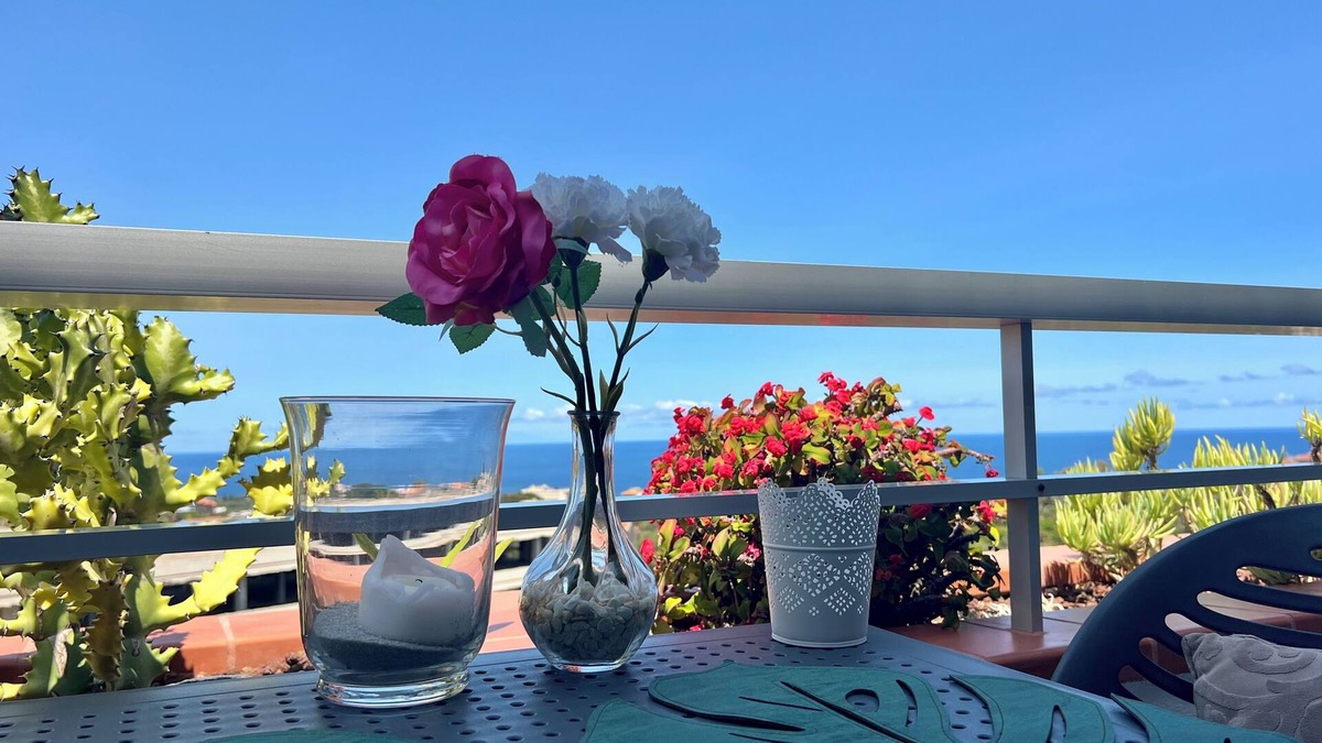 Puerto de la Cruz Apartment | Top floor! with TOP sea AND Teide view, pool, WLAN, fitness