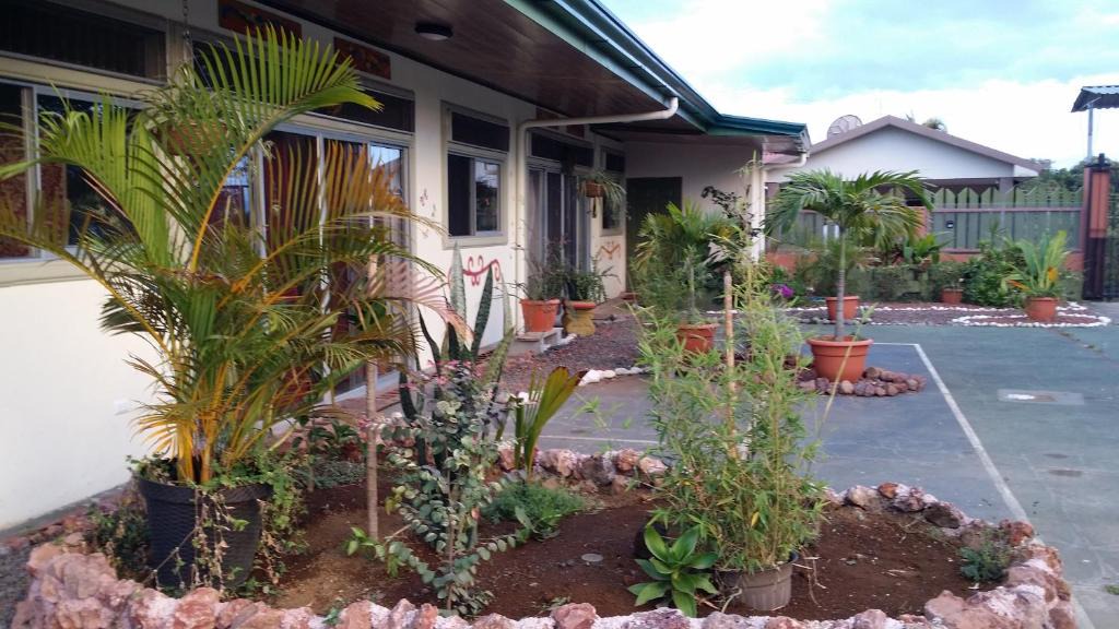 San Isidro de Grecia House | Top of the Mountain, new hotel Bnb in the clouds