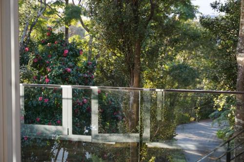 Torbay House | Torbay Tree Tops