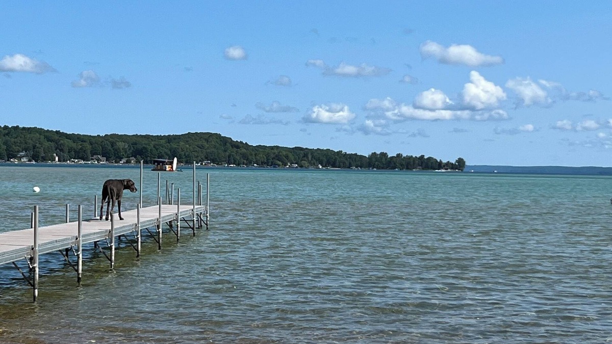 Rapid City House | Torch lake house