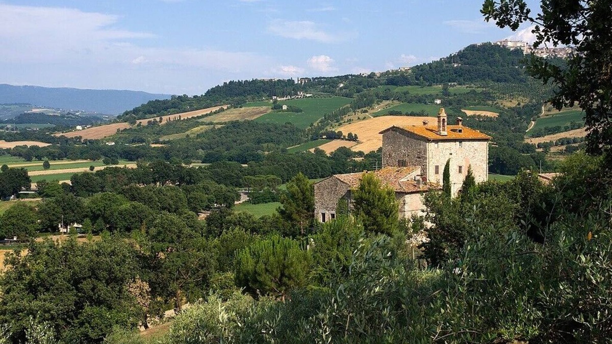Todi Other | Torre del 15° secolo con piscina e lussureggiante giardino, panorama su Todi
