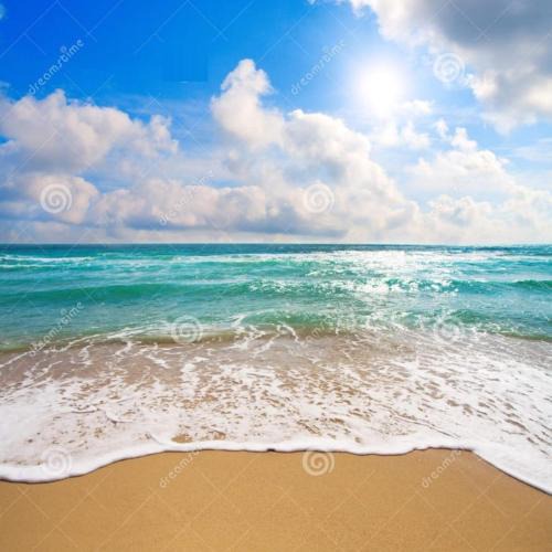 Torrevieja Apartment | Torrevieja Playa Cura