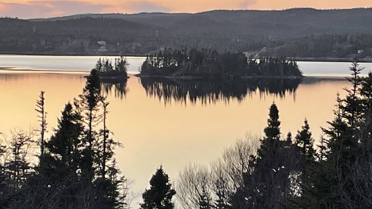 Tors Cove Cabin | Tors Cove Pond Retreat