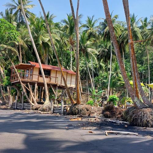 Sao Tome Island Resort | Tortue ecolodge - Casa Praia